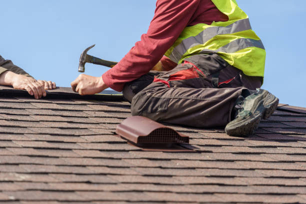 Best Roof Gutter Cleaning  in Wright, WY
